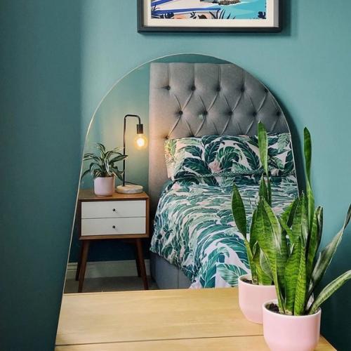 6 идеальных комнатных растений для спальни. 05