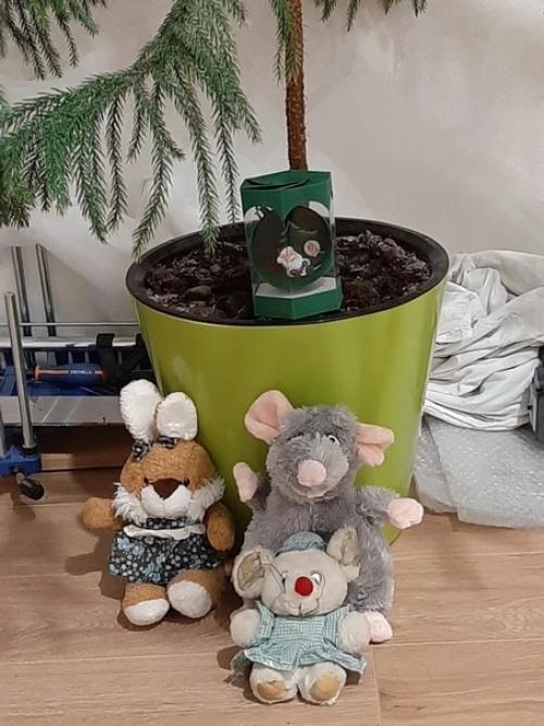 История одной ёлочки. 07