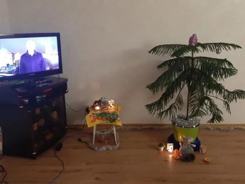 История одной ёлочки. 09