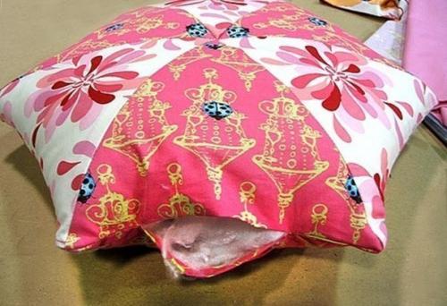 6 упражнений, чтобы животик был всегда плоским. 05