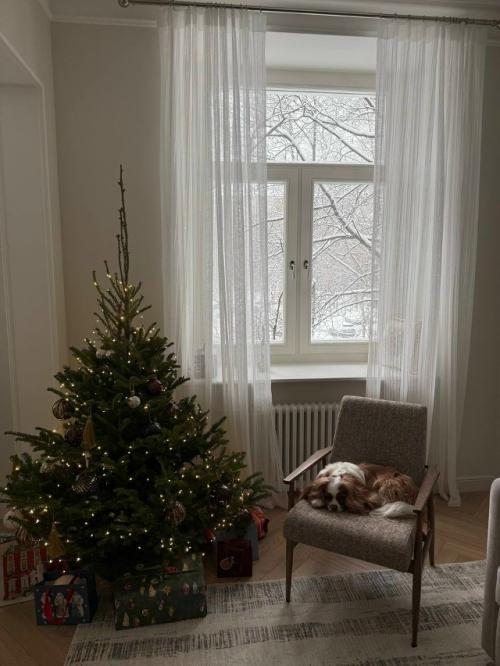 Получила красивые фотографии кресла в интерьере уютной квартиры Екатерины. 03