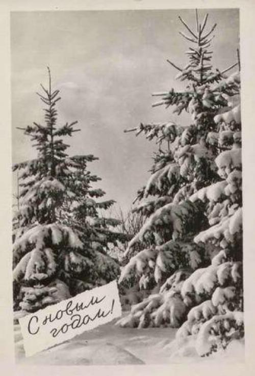 -?  Скоро новый год? 05