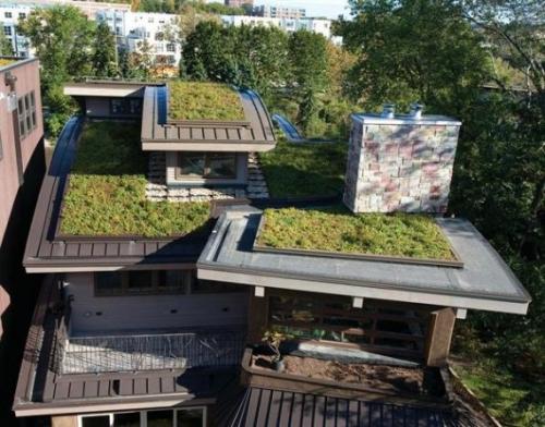 Натуральный дом из самана в центре города. 01