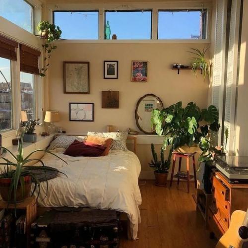 6 идеальных комнатных растений для спальни. 04