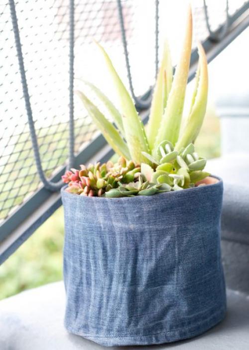 Растения цветы.  ? 10. 04