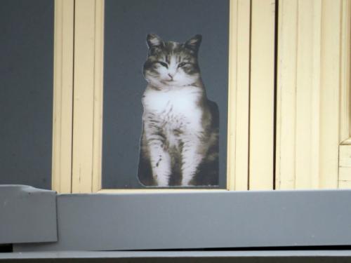 Заповедные кварталы.  Часть 2 (отдельные дома). 02