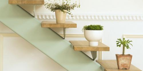 Цветы в интерьере? 01