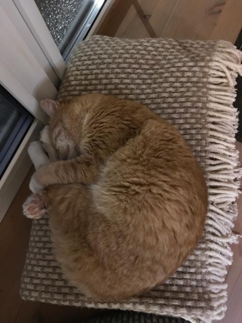 Только в том случае, если решаешь сделать генеральную уборку перед новым годом в кабинете - гостиной - спальне - всё равно не получится! 09