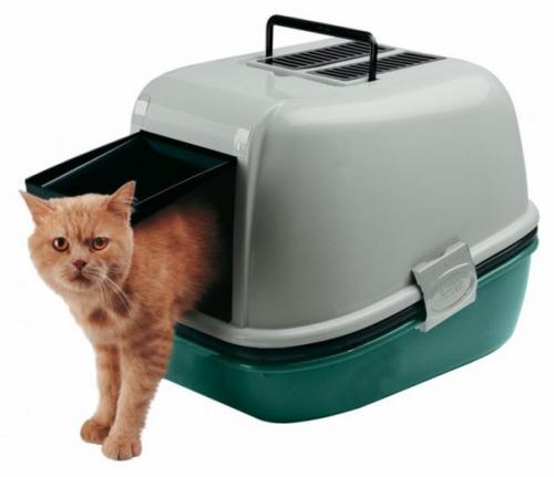Как приучить кошку к лотку. 01