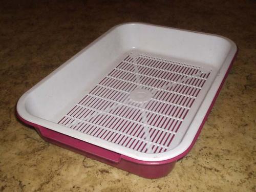 Как приучить кошку к лотку. 02