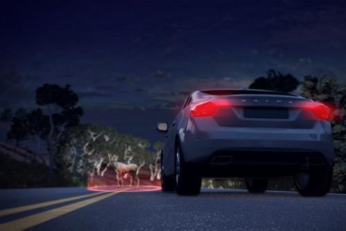 Новый Volvo S90 покажет, где спрятался лось. 06