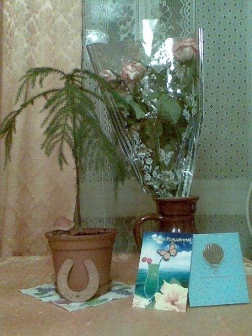 История одной ёлочки. 02