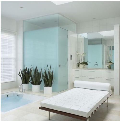 Обитатели Домашних Тропиков: растения для ванной комнаты. 01