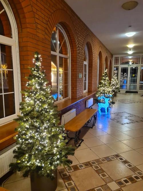 Где же остановится в Зеленоградске? 01