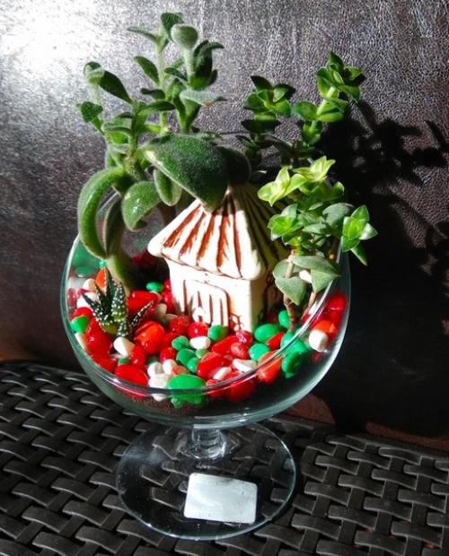 В том случае, если вы хотите разнообразить свою квартиру или дом чем-то необычным - суккуленты станут идеальным решением. 04