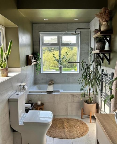 Прекрасный пример того, как с помощью краски и различного декора и растений можно преобразить любое пространство. 04