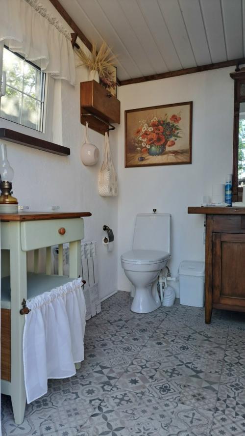 Мы с мужем живем в частном доме в небольшом городке ростовской области, и дача наша тоже в черте города. 07