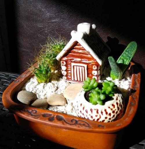 В том случае, если вы хотите разнообразить свою квартиру или дом чем-то необычным - суккуленты станут идеальным решением. 02