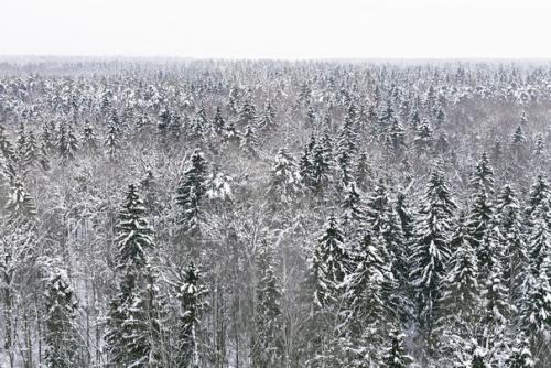 Виды межкомнатных дверей: материалы и способы открывания. 04