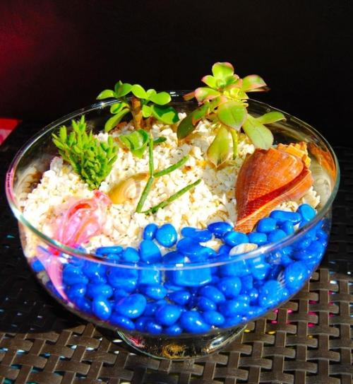 В том случае, если вы хотите разнообразить свою квартиру или дом чем-то необычным - суккуленты станут идеальным решением. 01