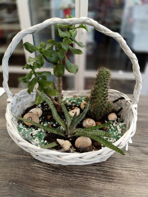 Флорариум - это удивительный миниатюрный сад, заключенный в прозрачных стенках стеклянного сосуда. 03