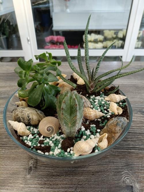 Флорариум - это удивительный миниатюрный сад, заключенный в прозрачных стенках стеклянного сосуда. 05