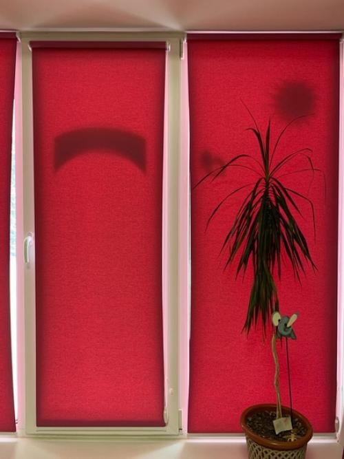 Мы спешим поделиться с вами свежими новостями! 01