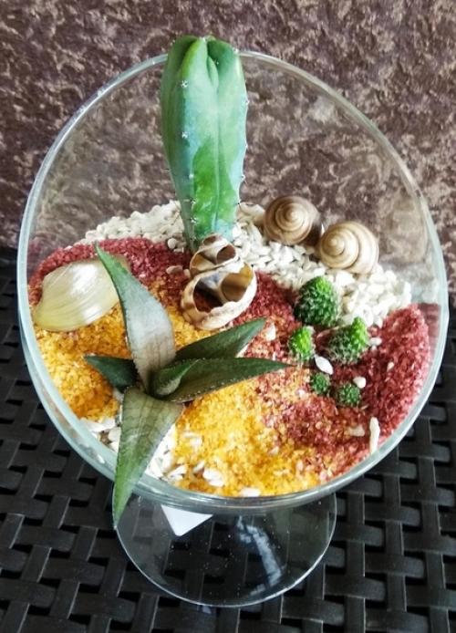 В том случае, если вы хотите разнообразить свою квартиру или дом чем-то необычным - суккуленты станут идеальным решением. 09