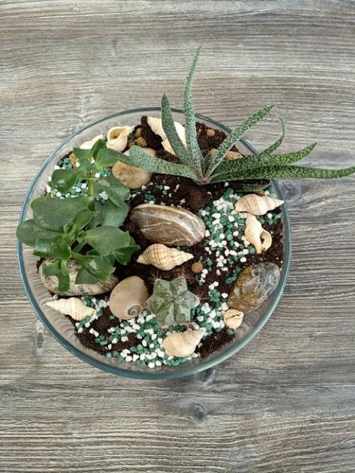 Флорариум - это удивительный миниатюрный сад, заключенный в прозрачных стенках стеклянного сосуда. 04