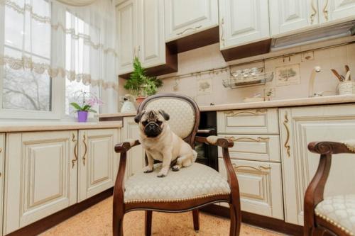 От нашего подписчика. 01