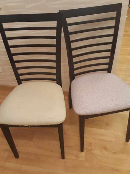 Котобанда.  Свежий взгляд на привычное. 01