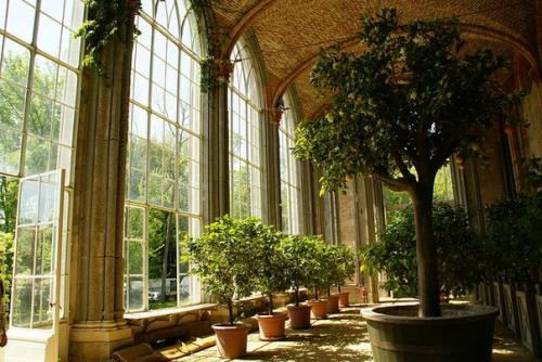 Замок раккониджи расположен в местечке раккониджи близ кунео, что неподалеку от Турина (около 30 км к югу. 04