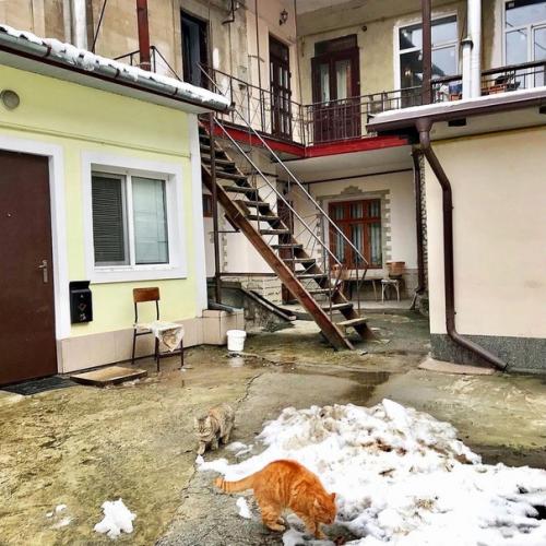 В 1913 г. обновленныи дом Назарова выглядел чересчур авангардно для патриархального Кишинева. 04