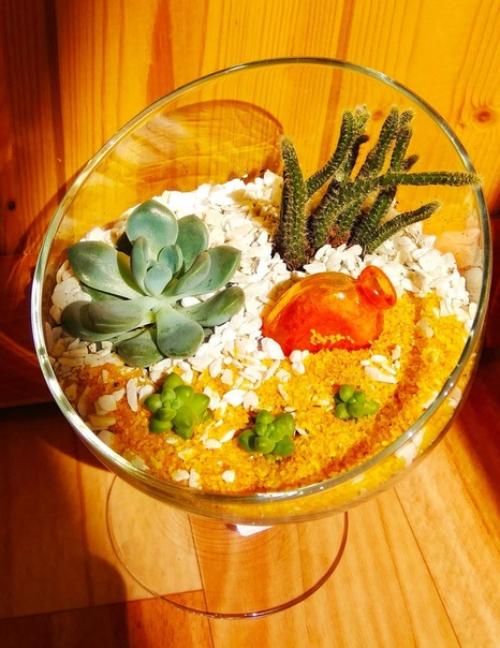 В том случае, если вы хотите разнообразить свою квартиру или дом чем-то необычным - суккуленты станут идеальным решением. 03