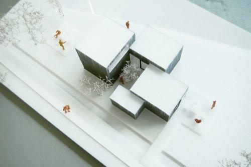 Минималистская дача в Голландии. 08