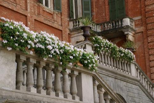 Замок раккониджи расположен в местечке раккониджи близ кунео, что неподалеку от Турина (около 30 км к югу. 03