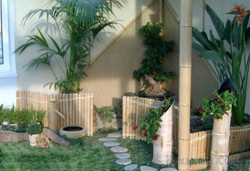 Что такое фитодизайн?