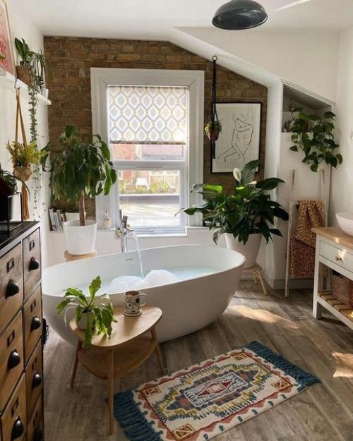 Топ советов для хорошего самочувствия комнатных растений в ванной: какие растения подходят для ванной? 08