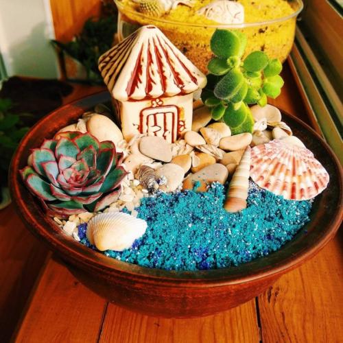 В том случае, если вы хотите разнообразить свою квартиру или дом чем-то необычным - суккуленты станут идеальным решением. 05