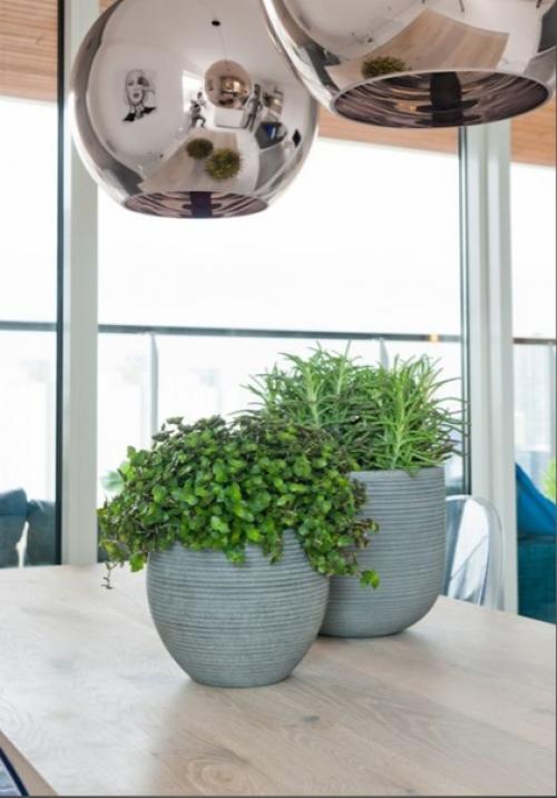 Озеленение квартиры.  Наслаждаться летом круглый год довольно просто, создайте его у себя дома! 05