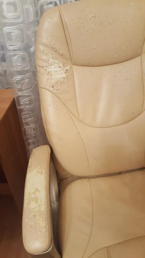 Котобанда.  Свежий взгляд на привычное. 05