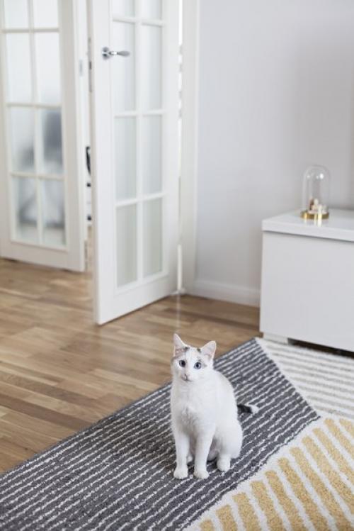 Виды межкомнатных дверей: материалы и способы открывания. 08