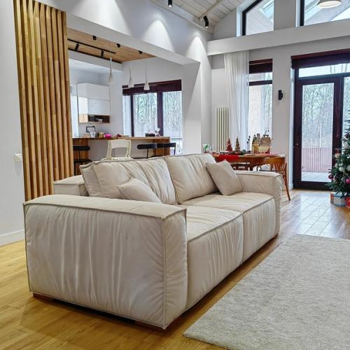 Каждому красивому интерьеру, свой новый идеальный диван. 01