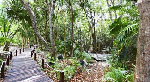 Sandos Caracol Eco Resort All Inclusive 5* ( плая_дель_Кармен, Мексика). 07