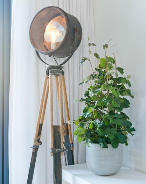 Озеленение квартиры.  Наслаждаться летом круглый год довольно просто, создайте его у себя дома! 06