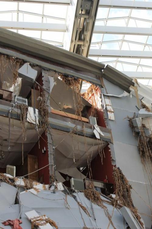 Томас хиршхорн.  Срез. 08