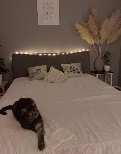 Современный интерьер. В скандинавском стиле. 05