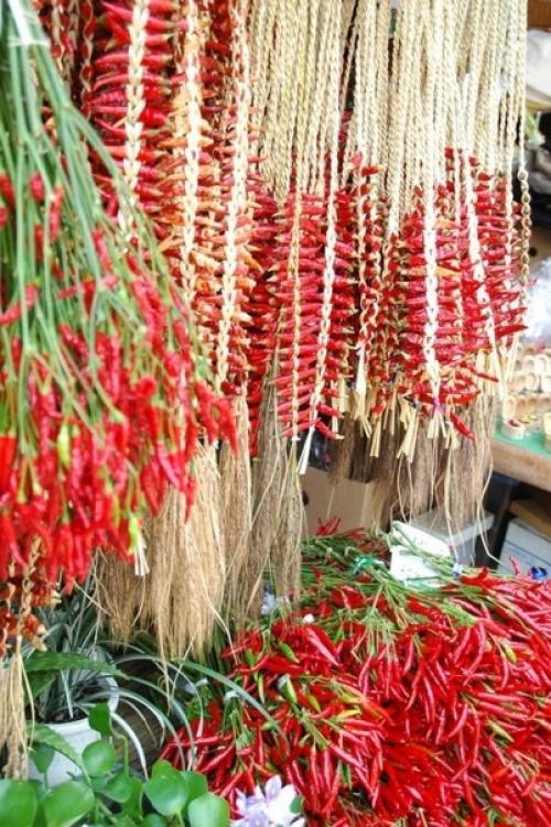 Декоративный перец. Декоративный перец относительно неприхотлив. 03