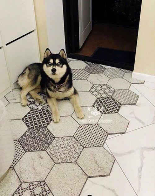 Интересный вариант декора квартиры. 07