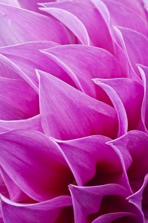 Всех милых женщин на планете. 03